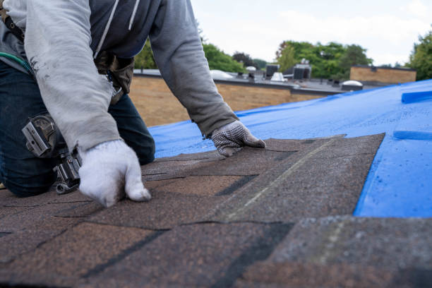 Best Roof Replacement Cost  in Mill Valley, CA