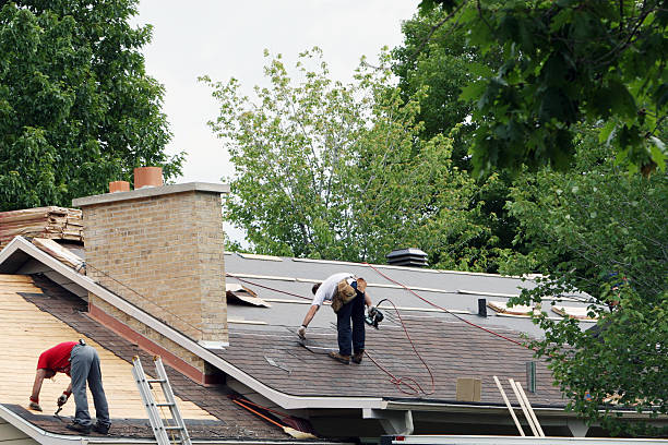Professional Roofing Contractor in Mill Valley, CA